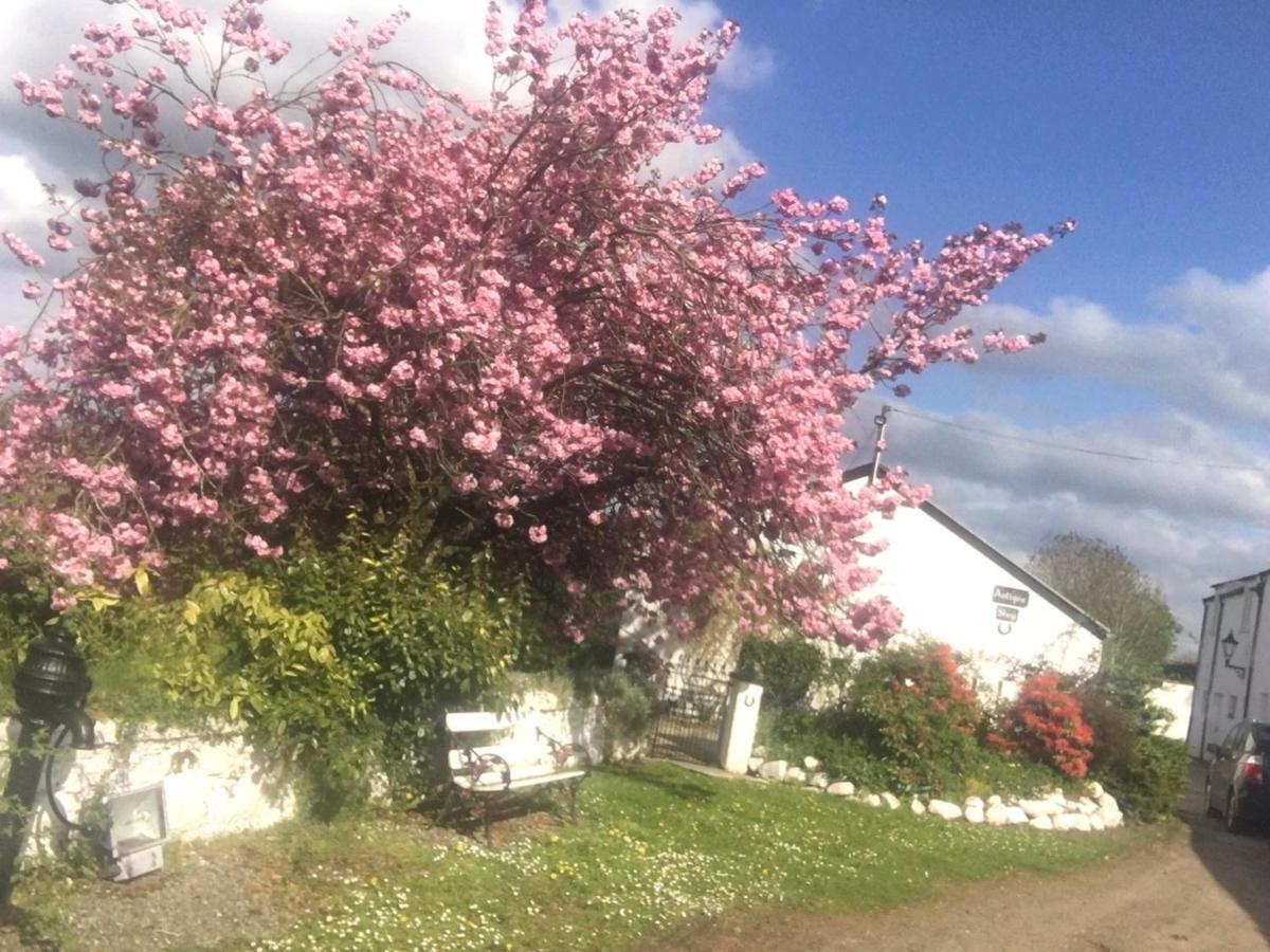 Kingsmills Cottages Artrea Buitenkant foto